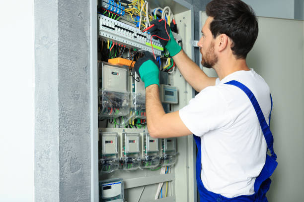 Best Electric Panel Repair  in Manitou Beach Devils Lake, MI