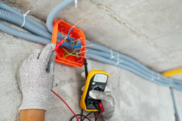 Best Best Electricians Near Me  in Manitou Beach Devils Lake, MI